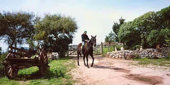 Horse riding Agriturismo Monte Pira at Tresnuraghes, Sardinia