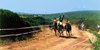 Cavalli all'Agriturismo Monte Pira